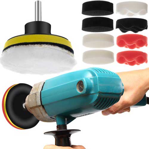 lestiaci-kotuc-jedinecny